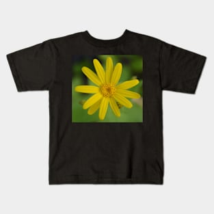 Arnica Kids T-Shirt